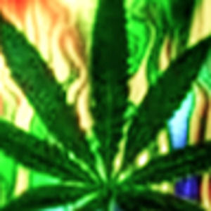 Meet your Posher, Jose luis